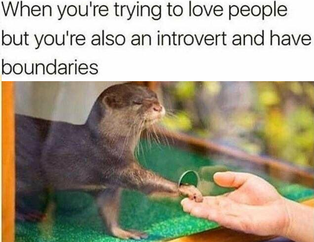 WholesomeMeme's tweet photo. https://t.co/LpyfbSicLv