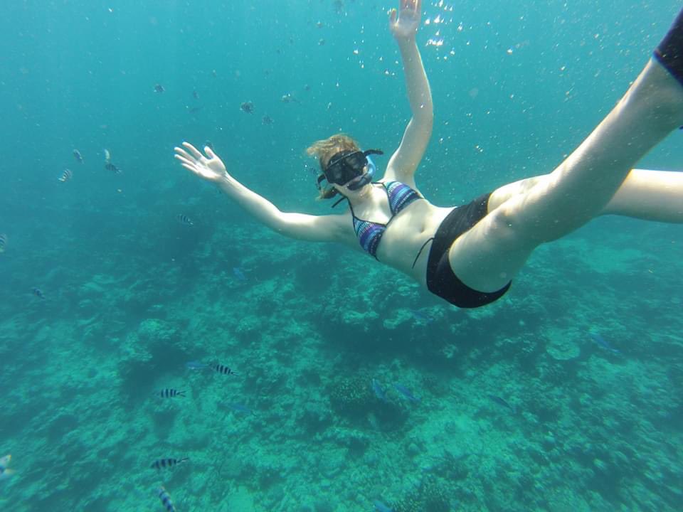 Cruzer244's tweet photo. Our Mauritius trip. Swimming with dolphins, snorkeling etc.Turns out that I've got travel insurance for 90 days for up to R10mil and this for ALL members. So cool @BestmedScheme #56Years #PersonallyYours #MedicalAid #SwitchToBestmed #Ad Find out more here: https://t.co/6PXyweL2fS https://t.co/7WLWo3JXAH