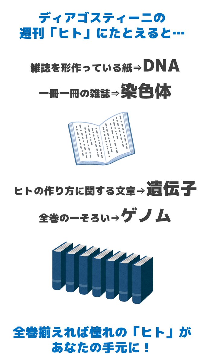 DNAと染色体と遺伝子とゲノムの違いをノリと勢いで説明しました 