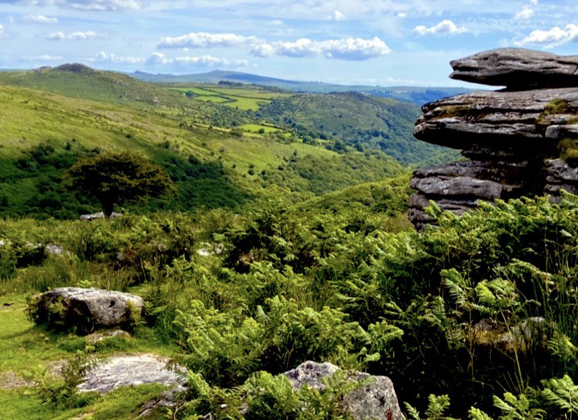 JuJu_S_Smith's tweet photo. Happy Sunday 😎 Change of scenery to luscious greenery 🌿🍃 🌱 A few pics of stunning Dartmoor.......where we’ve had a lovely long walk &amp; a well earned lunch 💕
.
.
.
Gorgeous warm sunny Devon days ☀️ #4dayweekend #dartmeet #combestonetor #devondaysout https://t.co/1gej7qgj5L