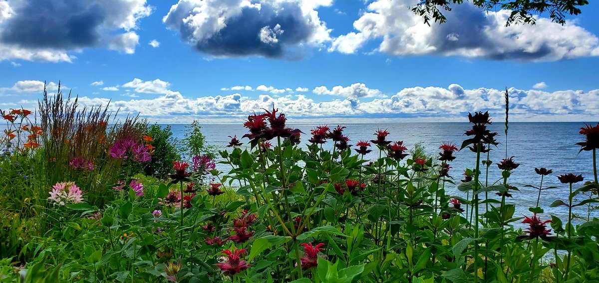 JPosvic's tweet photo. @TravelWI @TravelWisconsin  @DiscoverWI @fox11news Fantastic #sunset on walk last night and beautiful sky during bike ride this morning, gotta love the #Wisconsin lake shore https://t.co/D0AnoGsUIt