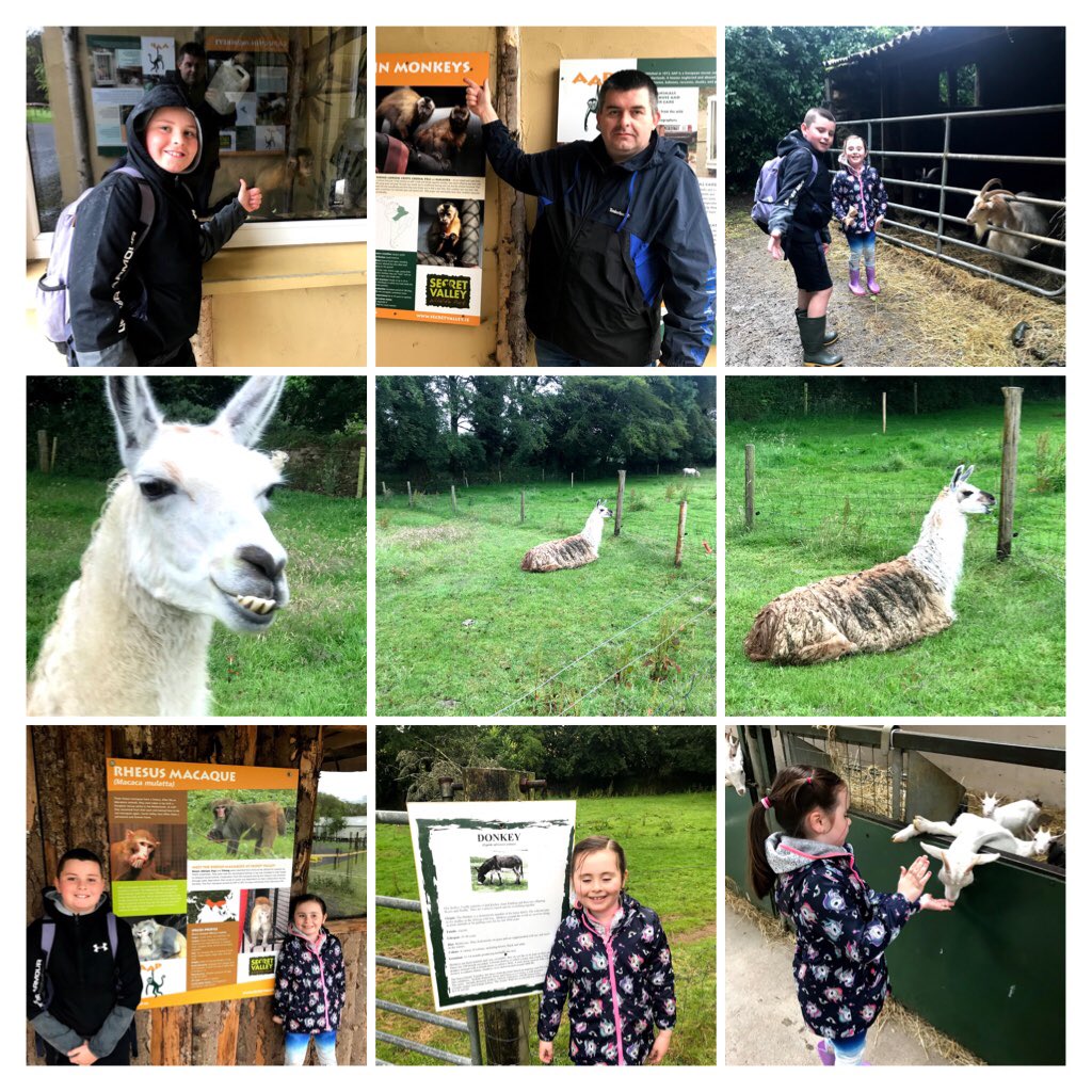 Tomas Conefrey - Community Pharmacist (@conefreypharmac) on Twitter photo A collage of some of our photos from our visit to <a href="/secretvalleywp/">Secret Valley Wildlife Park</a> last week. We had great fun despite the weather, highly recommend to visit & support this great place #Staycation2020 A collage of some of our photos from our visit to <a href="/secretvalleywp/">Secret Valley Wildlife Park</a> last week. We had great fun despite the weather, highly recommend to visit & support this great place #Staycation2020
