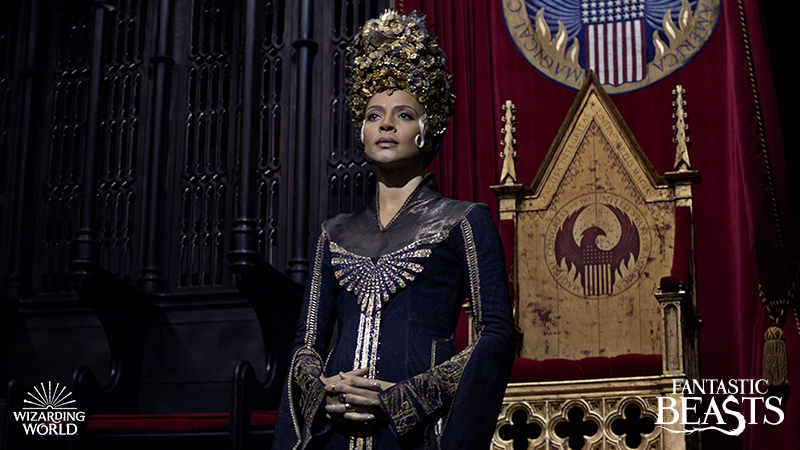 Seraphina Picquery, President of MACUSA and one famously gifted witch.