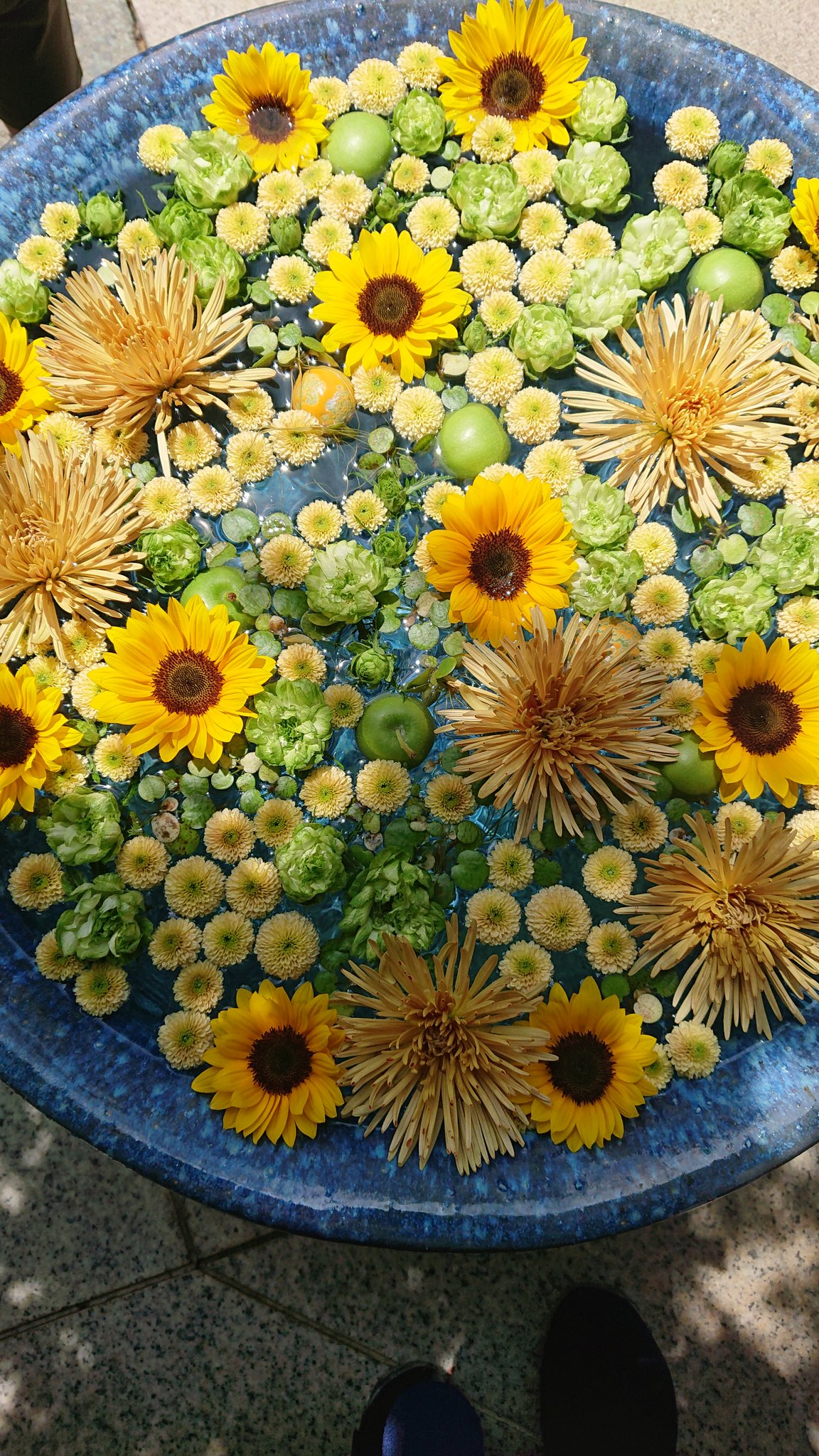 N S No Twitter 7 12 行田八幡神社 花手水 のどかな町の素敵な花 行田八幡神社 花手水 季節の花 ファインダー越しの私の世界 関東 東京 T Co isjun1vw Twitter