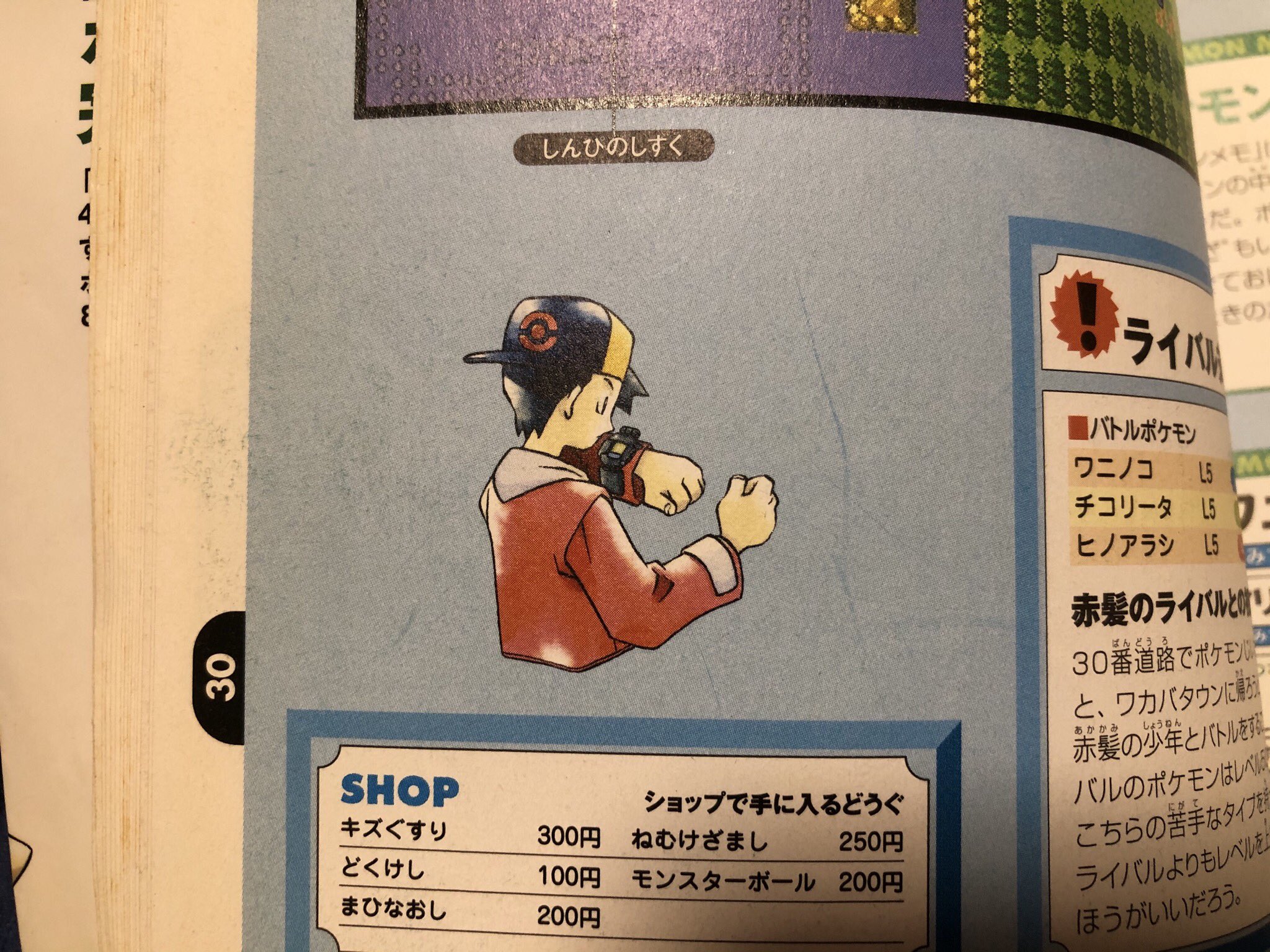 おまかせｐ 昔のポケモンの攻略本に入ってる挿絵が好き T Co Zibc7wfjty Twitter