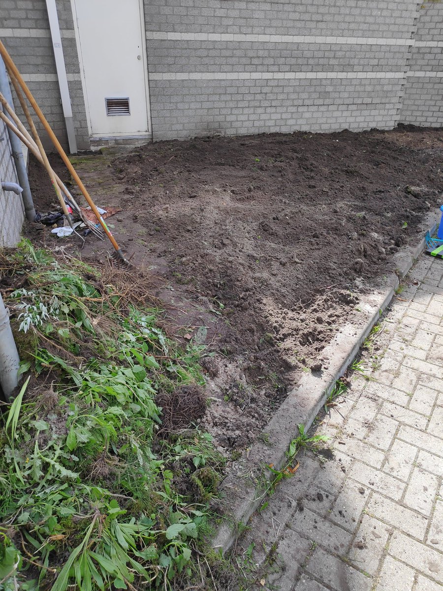 BioBruins's tweet photo. Wieden, schoffelen, spitten, harken, afdekken, stap 1 in het maken van een insectenvriendelijk tuintje bij @in_ovo, wordt vervolgd! 🐝🐛🦋 https://t.co/pYrUNOqFsc