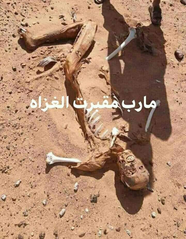 Ali_bin_Namran's tweet photo. من اراد الهلاك فله مايريد وان كان لا يدرى فعليك ان تذكره ان نفعت الذكرى..
#مأرب_مقبرة_الغزاة 
#مأرب #Yemen 
#اليمن https://t.co/JTMBaiQI0P