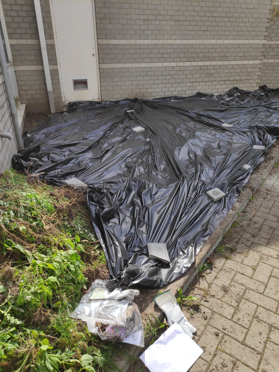 BioBruins's tweet photo. Wieden, schoffelen, spitten, harken, afdekken, stap 1 in het maken van een insectenvriendelijk tuintje bij @in_ovo, wordt vervolgd! 🐝🐛🦋 https://t.co/pYrUNOqFsc