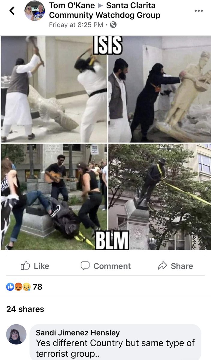 sewpheeyuh's tweet photo. city council: santa clarita isn’t racist!!! 😡😡😡 we are accepting of ALL people!!!!!

also santa clarita: https://t.co/X7G7rbwna0