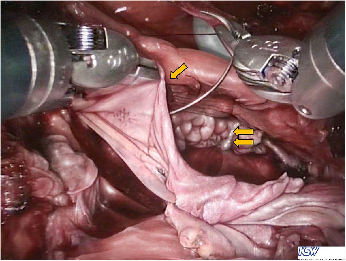 European Urology tweet media
