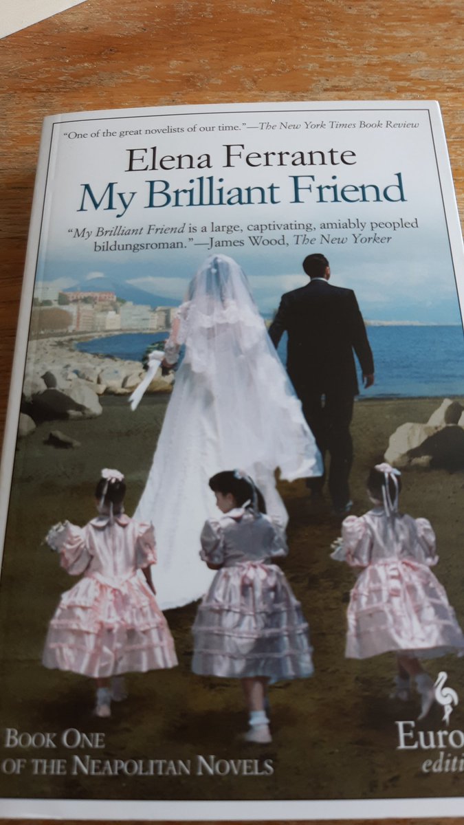 My Brilliant Friend by Italian writer Elena Ferrante, translated by Ann Goldstein. A recognised classic that I am long overdue in reading.