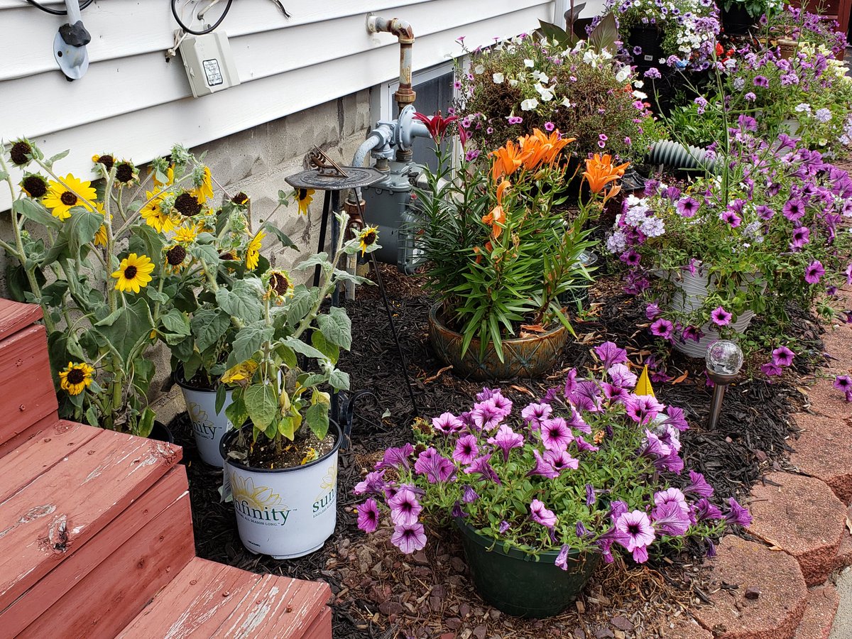 AnnemarieMatul1's tweet photo. Prt 2 morning #SoulCareAAS365 It was a massively challenging wk. Plus too hot &amp; muggy to survive puttering in my imperfect garden all wk #AttitudeChanger @1of2vics has his gym. I have the earth, wind &amp; flowers. What's your #SoulCare ? #AASIFF https://t.co/k2XYhM4VEe