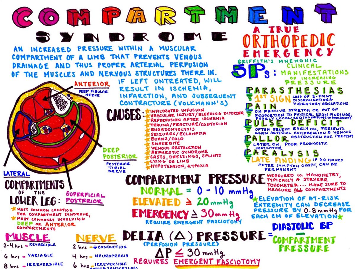 ANSWER TIME with help from <a href="/HansonsAnatomy/">Dr. Katelyn Hanson</a> with this visual review

Presentation concerning for compartment syndrome = immediate surgical correction. Remember the 5Ps! Δ Pressure = Dia Pres – Compart Pres. < 30 is concerning. Look for rhabdo during eval!

#CTRG #FOAM #BoardBombs