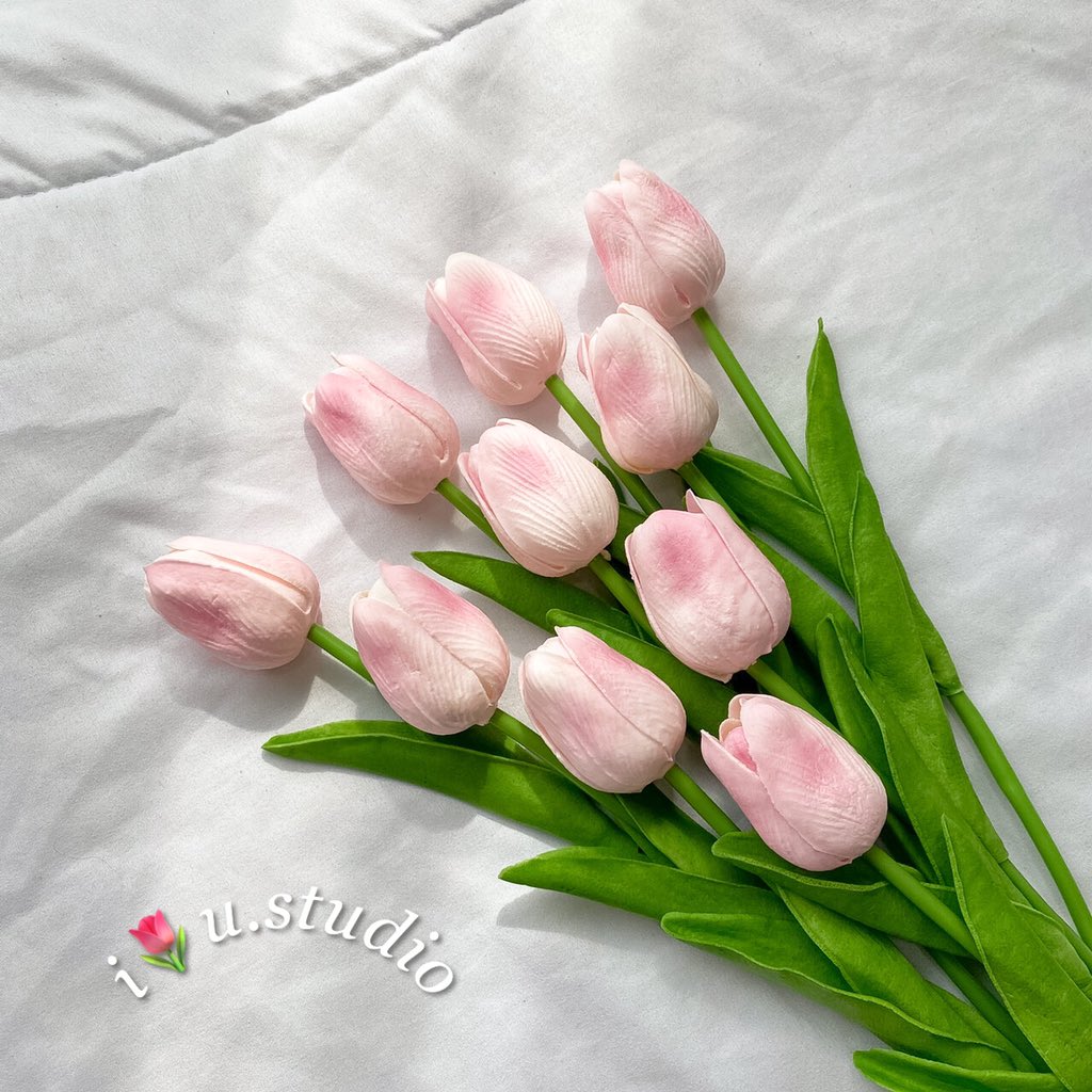 itulipu_studio's tweet photo. 35 บาท 3 ดอก 100 โปรพิเศษ 5 ดอก 150!🔥 มีหลายสีให้เลือก คละได้ทั้งร้าน ถ่ายจากสินค้าจริง ถ่ายเองทุกรูปงับ พร้อมส่ง🌷สั่งสินค้า dm เล้ย 👉🏼💌  #พร็อพถ่ายรูป #ดอกทิวลิป #แต่งห้องมินิมอล #แต่งห้องนอน #ไอเดียแต่งห้อง #ของแต่งห้อง #ของแต่งบ้าน #ทิวลิปปลอม #ทิวลิป https://t.co/2SmNtUMcq8