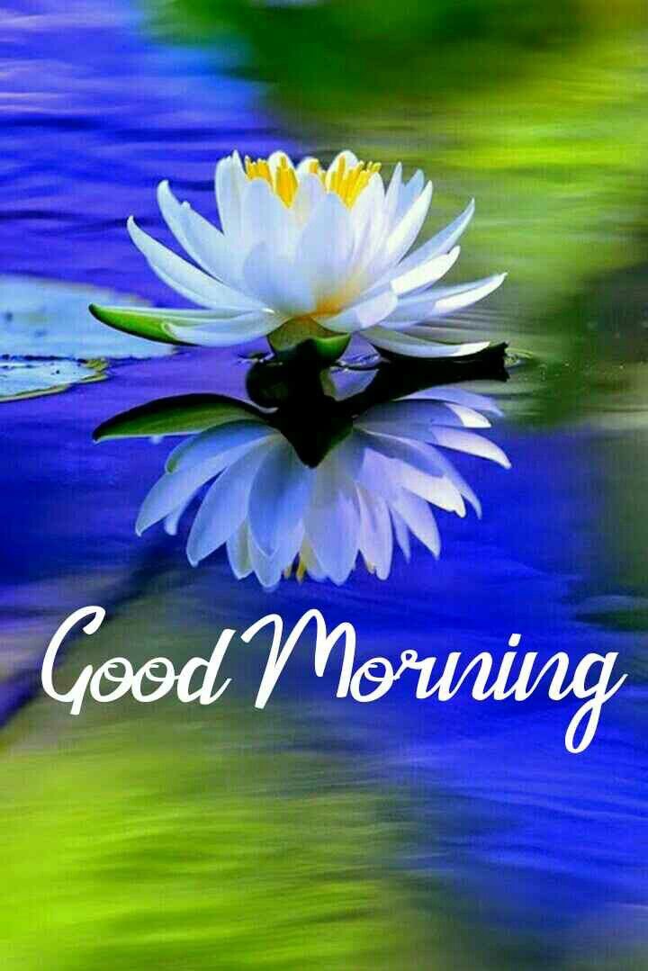 Goldone4Life's tweet photo. Have a beautiful Sunday. #allisone #joyisyourbirthright #vibration #transferfactor #molecule #colostrum #4life.com/donnabell4life https://t.co/r99sMC7UWL