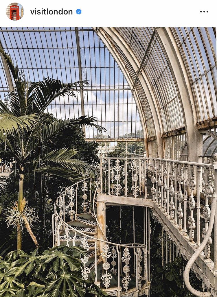 Check out last week's episode of London Stories featuring me, aka @the_botanical_gardener from <a href="/kewgardens/">KewGardens</a>! Live on on IGTV now! 😊 Link below | <a href="/visitlondon/">Visit London</a> #horticulture #kewgardens #london #visitlondon 

instagram.com/p/CCjH04jH73y/…