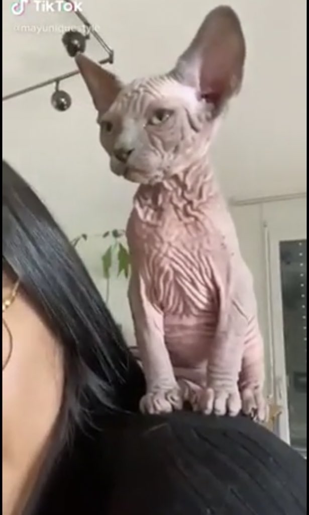 33ALMR's tweet image. Les couilles de LFB après ses 5/6 branlettes quotidienne #LFBI #BalanceTonYoutubeur #twittos