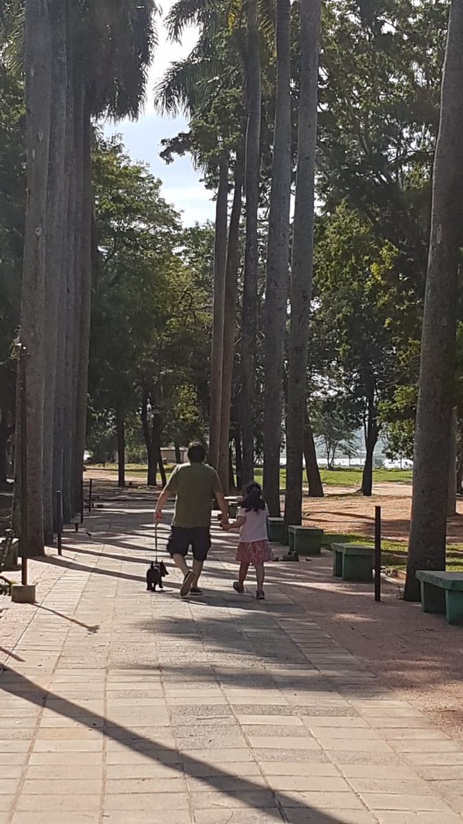 PederzaniPaolo's tweet photo. Grata sorpresa: el Parque Caballero esta limpio. Con precauciones se puede volver a pasear. Falta mucho, pero que alegría ver limpieza. La ocupación es mínima al fondo. https://t.co/xtE79R3sbV
