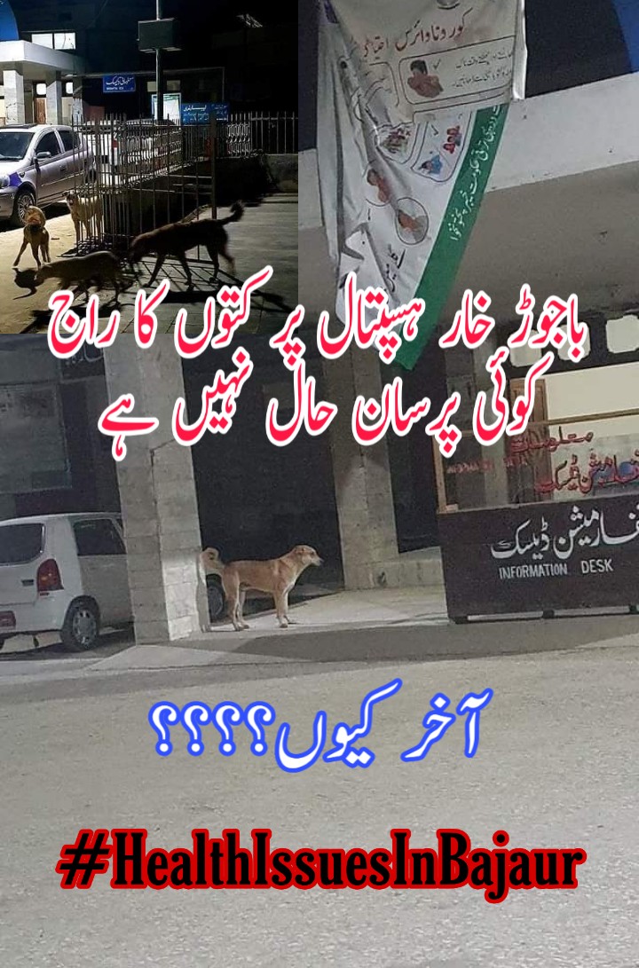 SafeerAhmadPak's tweet photo. سب ملکر کرپٹ مافیا کو ٹھکانے لگانے میں کردار ادا کریں
#HealthIssueInBajaur https://t.co/LRrdH1AeUa