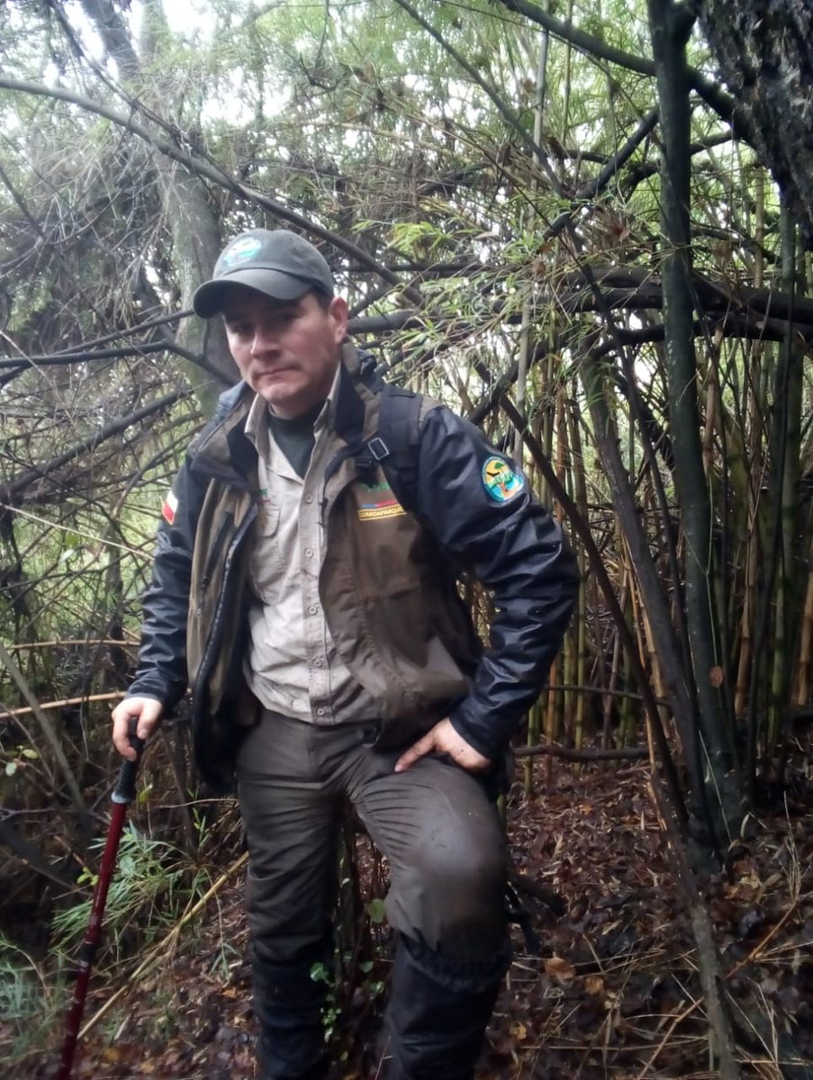 Las cámaras trampa son  una importante herramienta para el monitoreo de la #Biodiversidad.

#Guardaparques del Parque Nacional Radal Siete Tazas en una agotadora, pero satisfactoria jornada de instalación y revisión en los bosques y montañas maulinas.