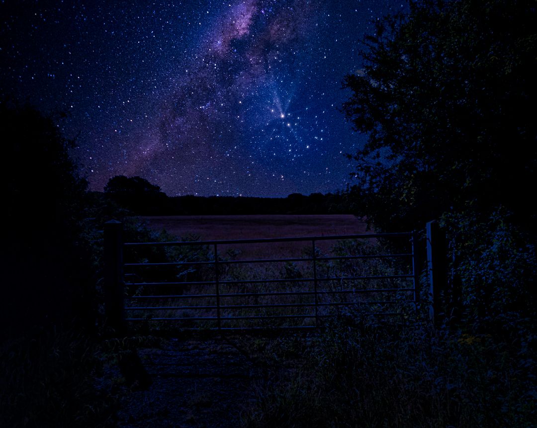 legit_wizard's tweet photo. Deep into that darkness peering, long I stood there, wondering, fearing, doubting, dreaming dreams no mortal ever dared to dream before.
#artistry_lords
#ominous_perfection
#gallery_of_dark_arts
#fancygoth_edit
#blackmetal
#darkness
#darkart
#kings_gothic
#the_gallery_of_magic https://t.co/JpeFFba6VU