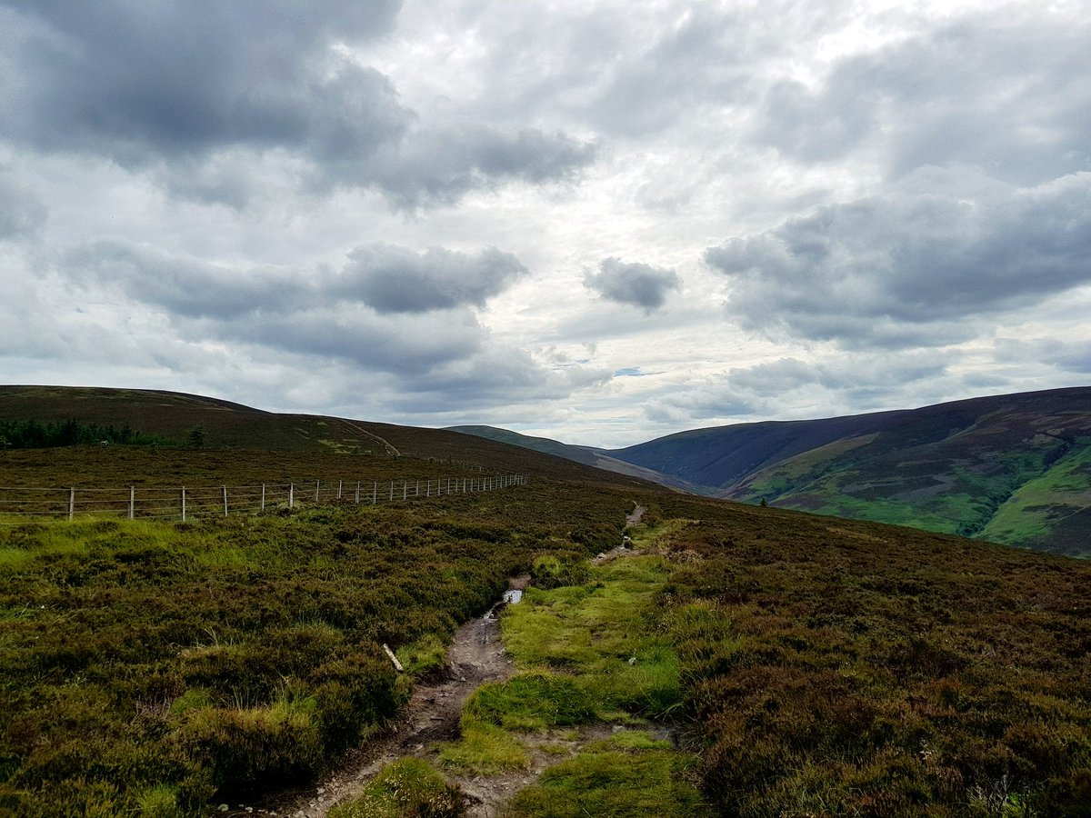 blonde_on_bikes's tweet photo. Gypsy Glen #droveroad #scottishborders #tweedvalley #Mountainbiking #WFOC2020 #beyoubybike #gypsyglen https://t.co/ivq40FfkOX