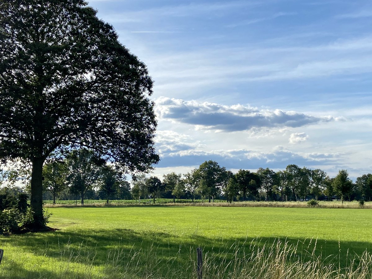 mveldhuis76's tweet photo. Op weg naar huis.. kids paar dagen bij opa en oma in de #Achterhoek. Sabine rijdt... ik kan lekker wegdromen in het #landschap. #N18 #Twenteroute #stralendweer #molenhermien #zonneparken #cultuurlandschap https://t.co/84aJLIdXWu