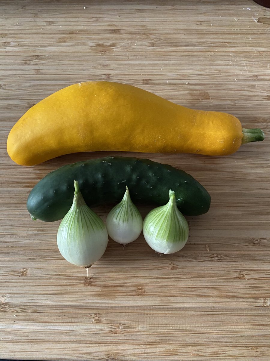 WonderingWanker's tweet photo. My 8 year old daughter wanted to have her first garden this year.

She had her first harvest!

All of her hard work paid off. Can you give her a like to show support and encouragement! https://t.co/eMRyF75pdh