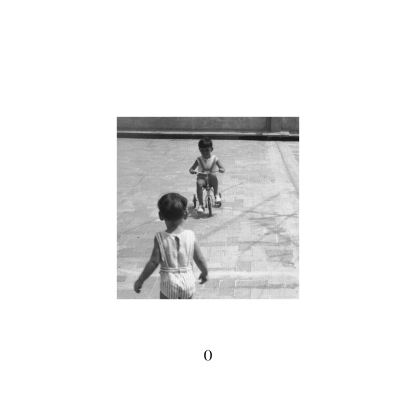 Team Perrolín tweet media