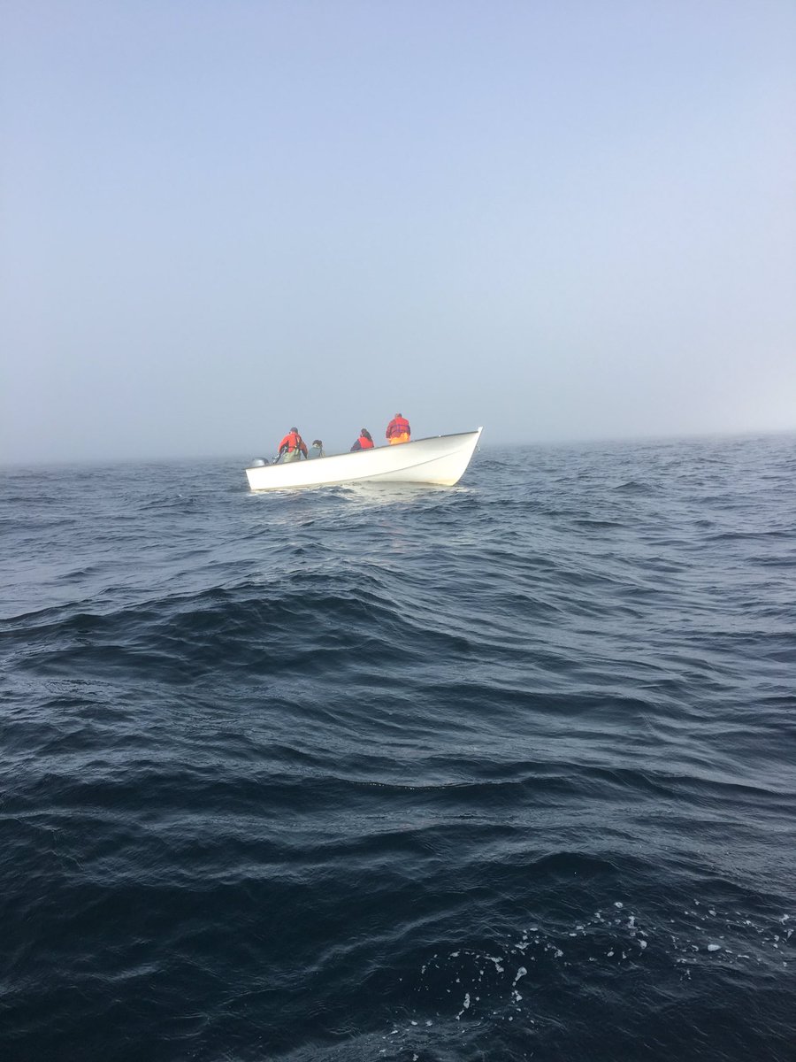 NLBlacksmith's tweet photo. @turr1959 in his glory on the water #codfishery #recreationalfishery https://t.co/s2AzaTKIN1