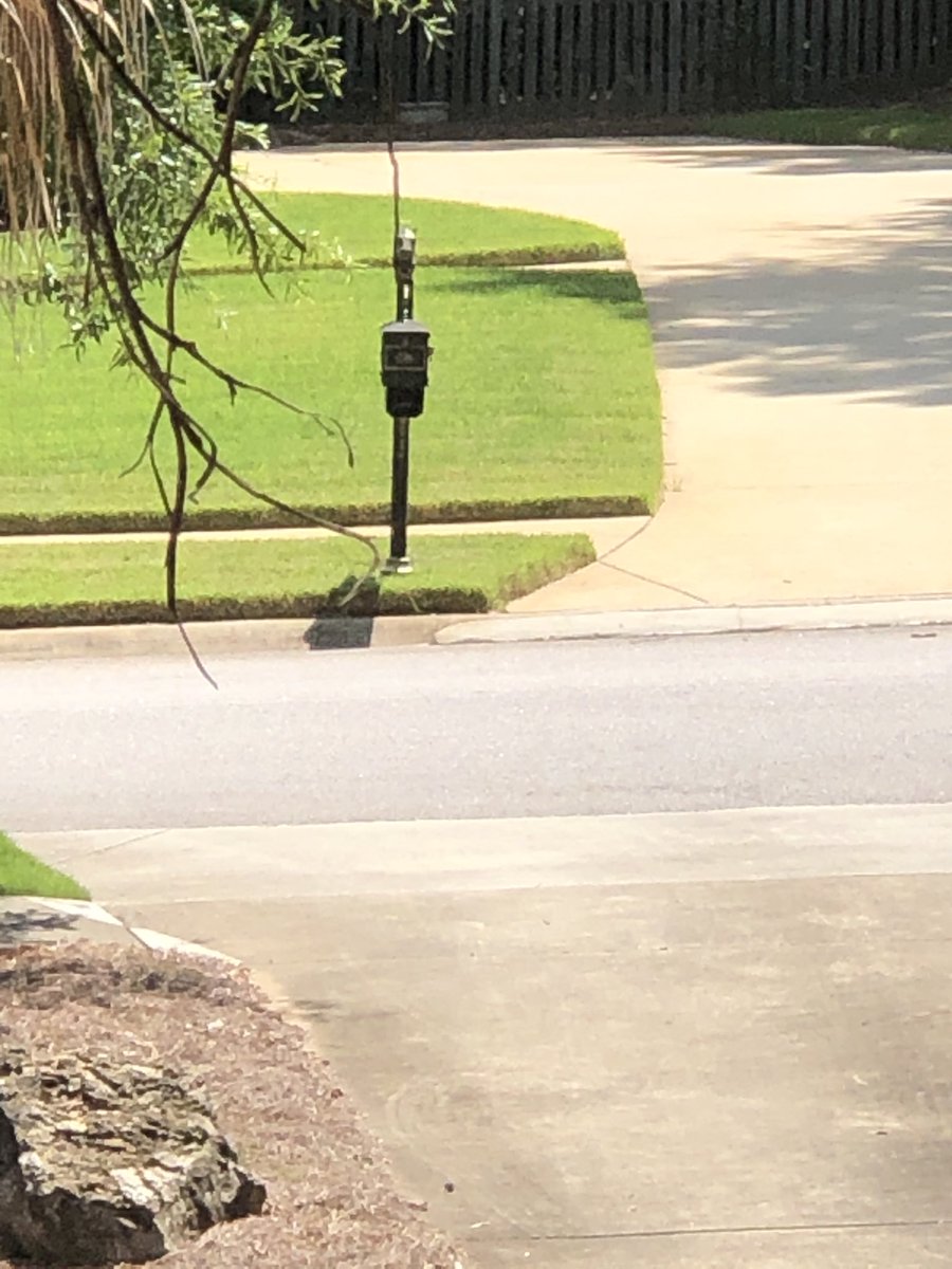 teri_abel's tweet image. The neighbor’s grass is beating us. I admit it. But he doesn’t know what’s about to hit him... #plans #onemoreyear  #maybetwo grassporn