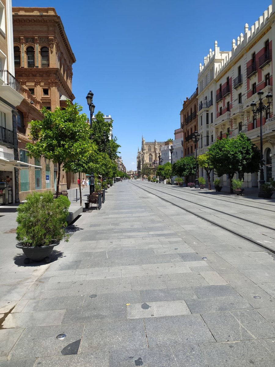 Rafael J. Sánchez (@rafaelj_sanchez) on Twitter photo Avenida de la Constitución (Sevilla) veinte años de diferencia. Más espacio para caminar, sí, pero friéndote al sol...¿Por qué quitaron esos frondosos árboles que tanto necesita esta ciudad? ¿Qué fue de ellos?
<a href="/Ayto_Sevilla/">Ayuntamiento de Sevilla</a>
#Sevillaverde Avenida de la Constitución (Sevilla) veinte años de diferencia. Más espacio para caminar, sí, pero friéndote al sol...¿Por qué quitaron esos frondosos árboles que tanto necesita esta ciudad? ¿Qué fue de ellos?
<a href="/Ayto_Sevilla/">Ayuntamiento de Sevilla</a>
#Sevillaverde