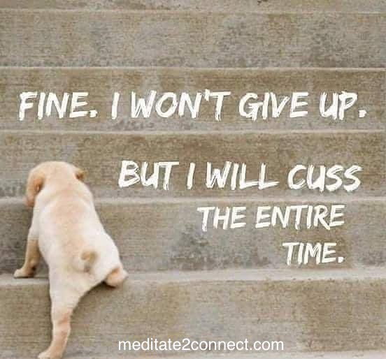 Reflective_Soul's tweet photo. Sometimes the best way to release your frustrated energy is through voicing your favorite expletives.
And you know what, thereโs not a damn thing wrong with that!!๐
You do whatever you need to do to #KeepYouGoing. #ProudOfYou๐
Love to you all! ๐
https://t.co/wEvinPsVmj https://t.co/V6EIts0PVs