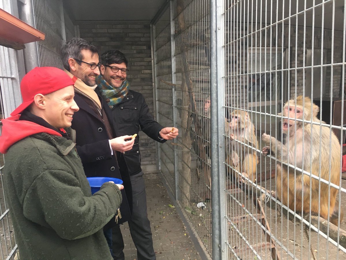 Dirk Behrendt looking at Affen

Quelle: Twitter-Account von Dirk Behrendt