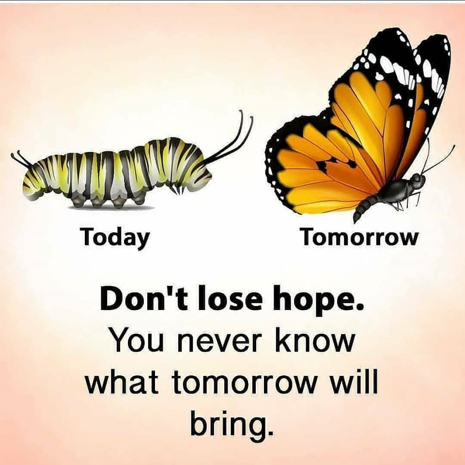 imane789521's tweet photo. Quote of the day.... https://t.co/9dEE22Qluc