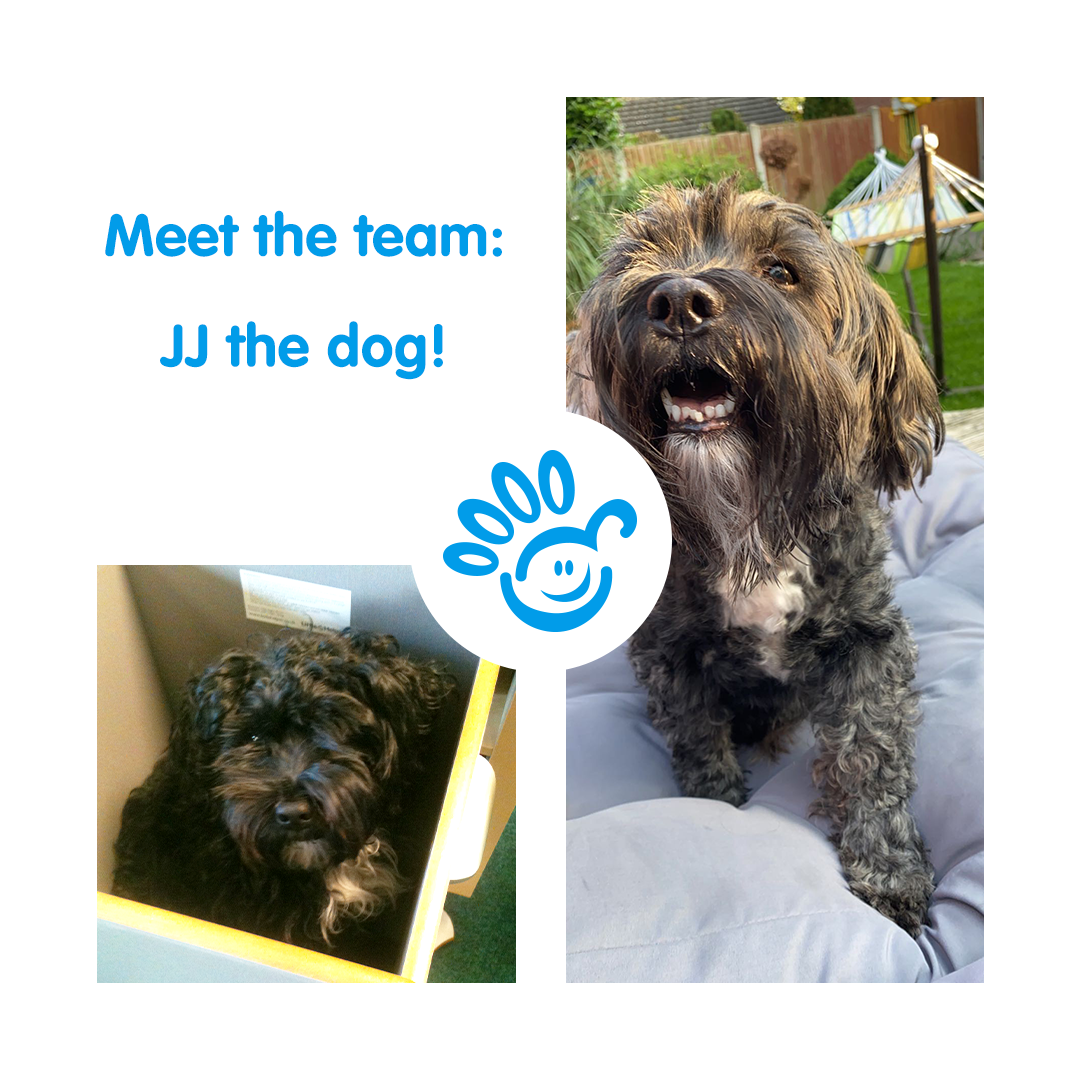 LittleHelperLtd's tweet photo. In Today’s meet the team, we wanted to show you the most important member of staff - JJ! 🐶
Our little Tibetan Terrier who comes to the office with us every day! (He even likes the FunPod!) 😊
#littlehelper #funpod #littlehelperfunpod #officedog #dog #tibetanterrier https://t.co/kkrFAIQEIY