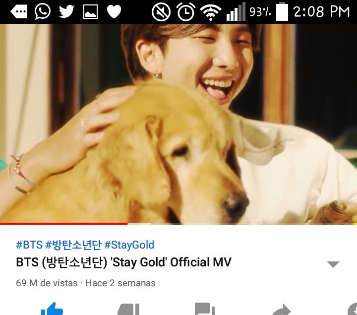 Babydollbts's tweet photo. También a estas joyitas 😎
💜💜💜💜💜💜💜💜💜
#TeamWorkStream
#Teamlatamstream
#BoyWithLuv1Billion
#StreamON
#blackswan
#StayGold
@BTS_twt https://t.co/EI6LeHGlx1