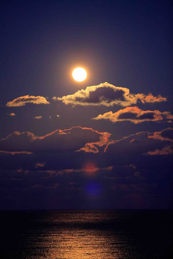 KatanaHugo's tweet photo. Good night friends
#photos #evening #moonlight https://t.co/mIMvx4BceU