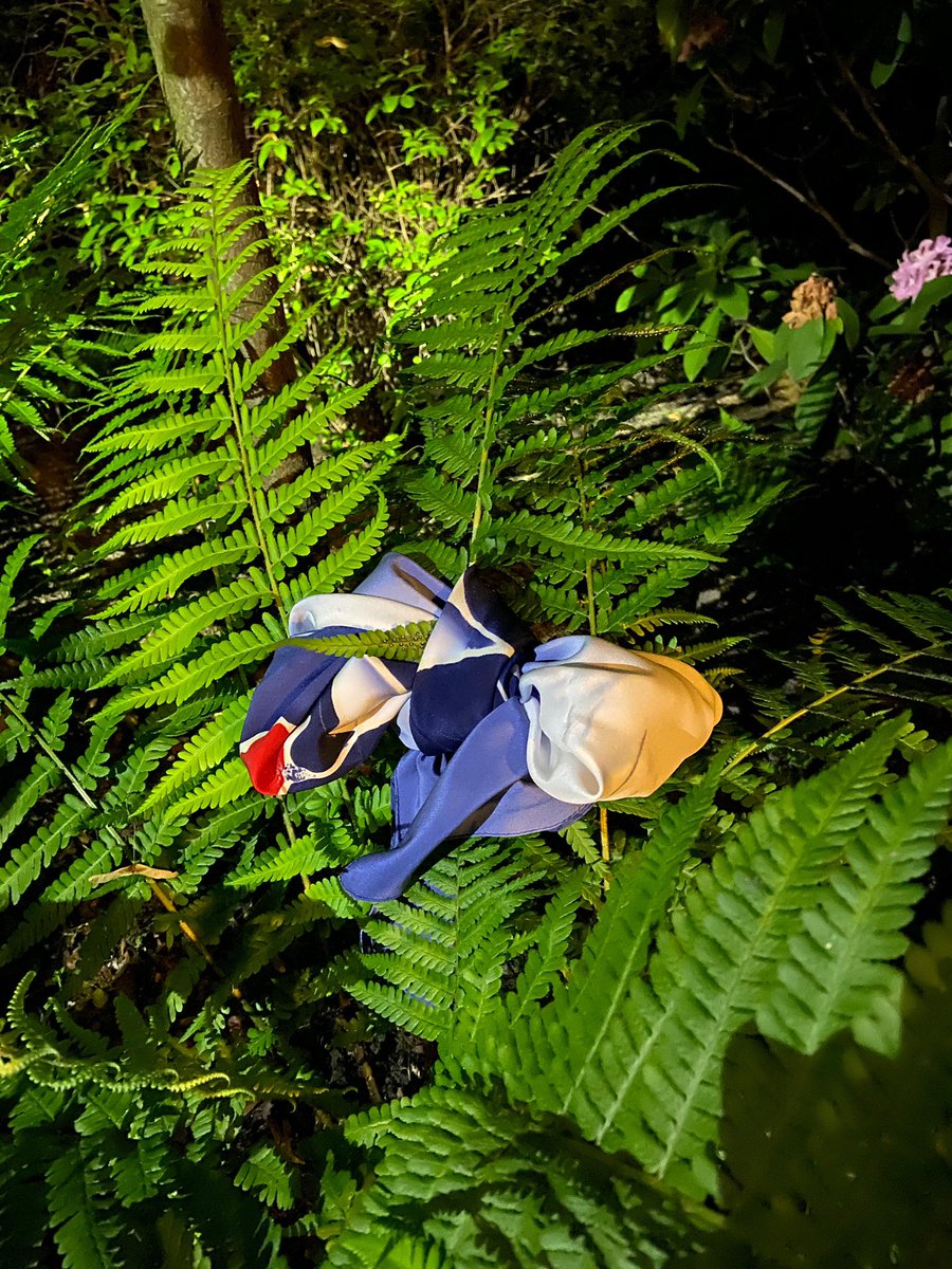 Andrzej Duda tweet media