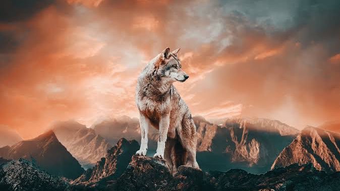 Bir gençlik!
Hilâl’in gölgesinde 
Bir ve beraber gençlik!
İnsanlığa umut, baharlara çiçek,
Kavgalara kurt!
Bir kurt ki vuruldukça çoğalacak, Öldükçe dirilecek!
#SeninleyizAzerbaycan