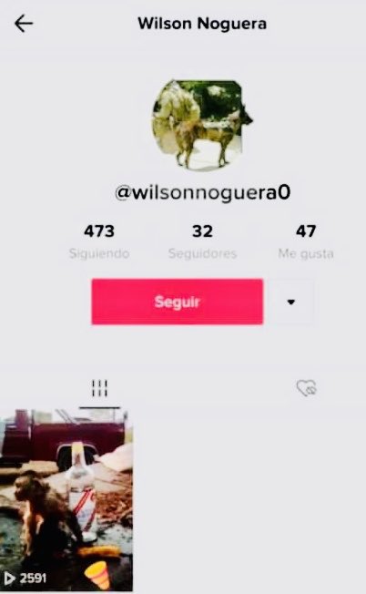 #Ahora  a la orden del Ministerio Público e imputado en Aragua Wilson Enrique Niño Noguera quien fuera uno de los sujetos que alcoholizaron mortalmente al mono, publicando el video en la red social Tik Tok #NoAlMaltratoAnimal