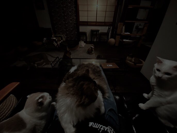 いるからね Twitter Search Twitter