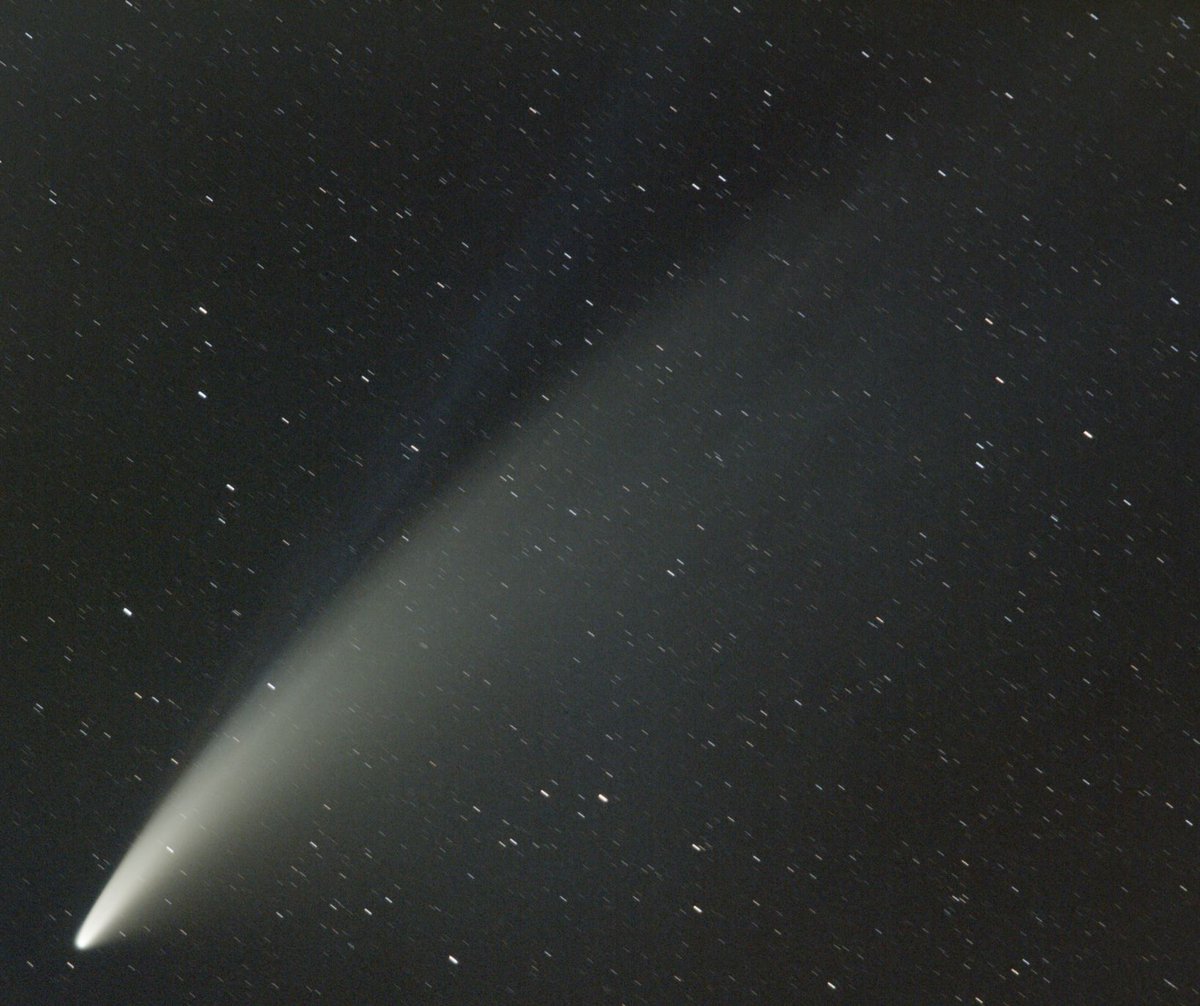 astrochoupe's tweet photo. La comète C/2020 F3 #Neowise, avec ses deux queues. En blanc-jaune, la queue de poussière. En bleu (et rouge), la queue de gaz ionisé. StarAdventurer, Canon 650D, 135mm f/5.6, 800 ISO, 39x30s, traitement PixInsight. https://t.co/uwKpEGY2Qo