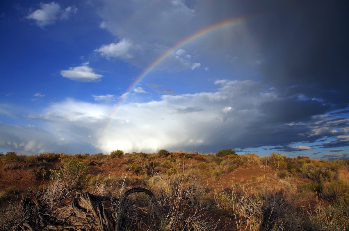 BosqueBrewingCo's tweet image. All Bosque locations will be closed on Mon &amp;amp; Tues (7/13 &amp;amp; 7/14) to adjust our operations and to give our team a much deserved break. 

Even after the worst storm, there's a rainbow. This won't last forever . . . and until it's over, stay #bosquestrong.