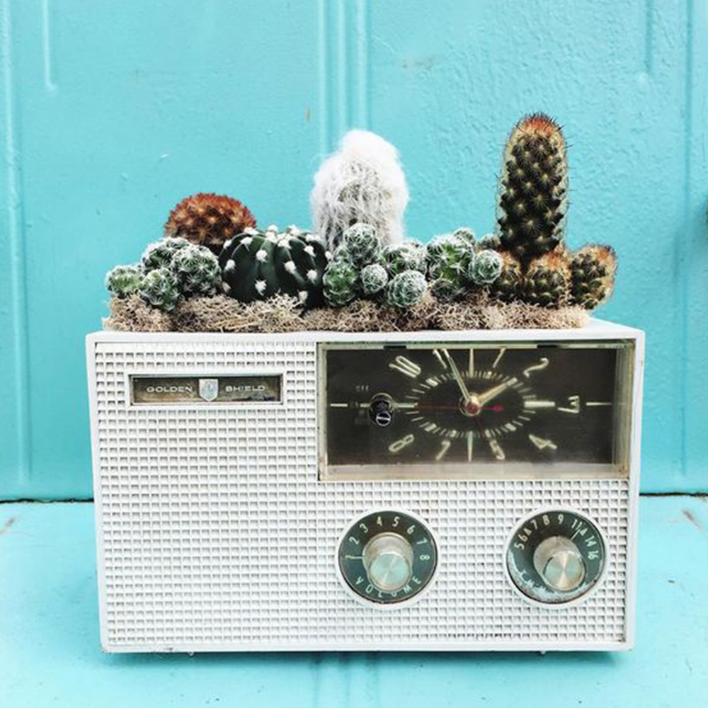 acidstag's tweet photo. What's hiding is Acid Stag Radio this week: https://t.co/bfjfPwpZ2h

feat: @MrBenjiLewis @lontalius @goldenvesselau @naroumusic @necklace____ @realwashedout @slowmagic @pnkfme @_khamari @keaton_dekker @MouseSucks @gusdapperton @baynkofficial @Jamielane_music @disclosure @throttle https://t.co/cRn6XbqiwU
