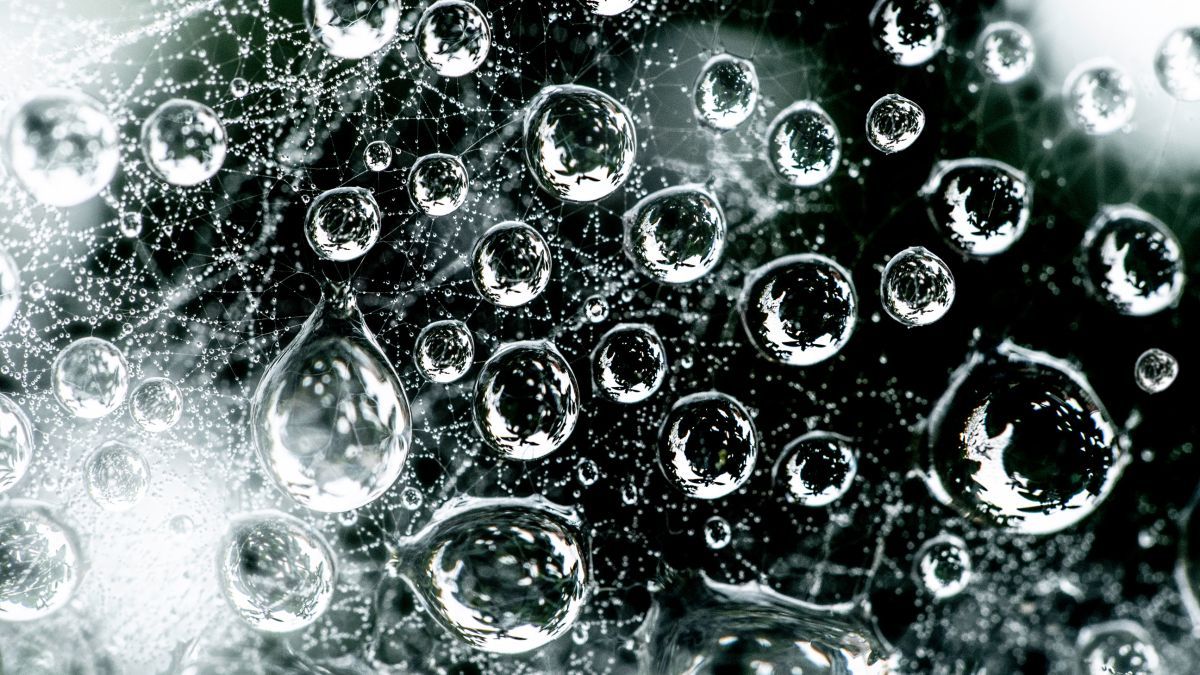 DPhotographer's tweet photo. Take artistic abstract macro shots, right at home in your back yard! https://t.co/82f7ZgDRcl https://t.co/VpmqJ6V2QN