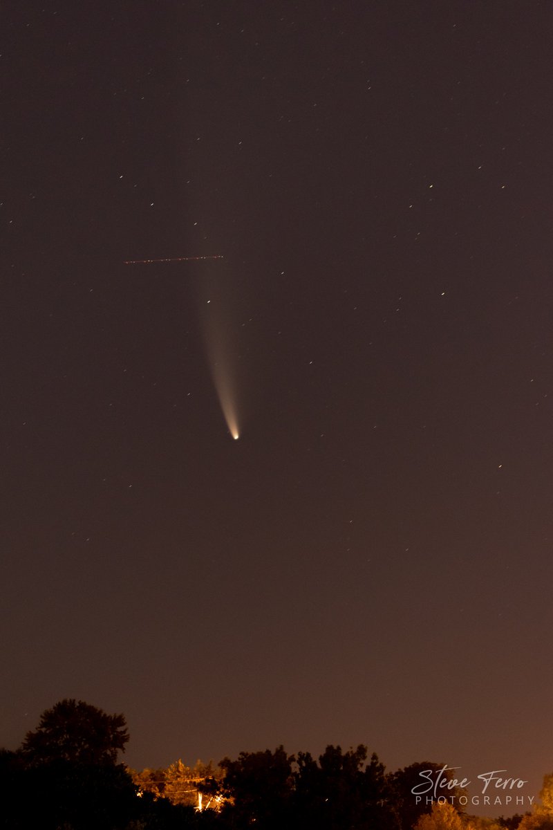 Steve Ferro tweet media