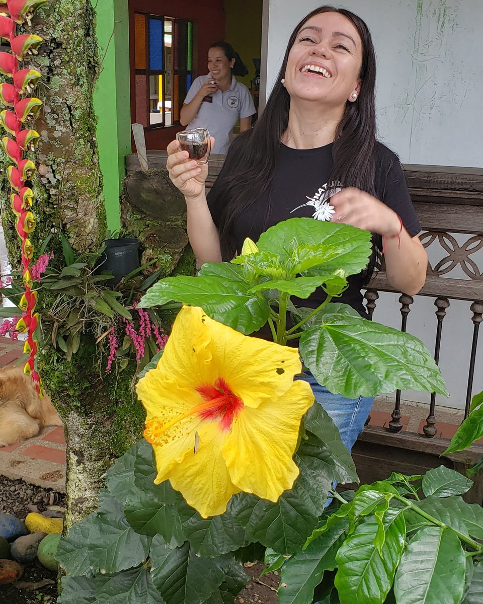 naturetripscol's tweet photo. Cuando te tomas un coldbrew luego de 120 días de cuarentena!
Paisaje Cultural Cafetero de Colombia con Nature Trips. 

#NatureTrips #Colombia #coffee #coldbrew #coffeetime #coffeetour #coffeetoday #cafegranate https://t.co/0XkqQS733D