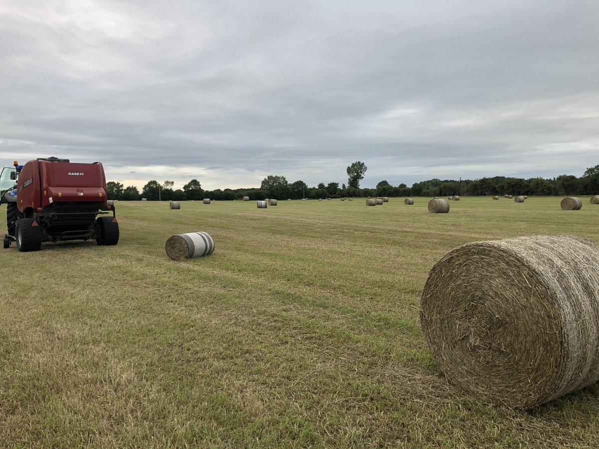 Maplehurst Farm tweet media