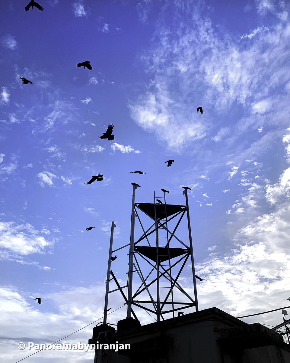 niranjank1213's tweet photo. I will ride, I will fly, chase the wind and touch the sky.
.
#CaptureTheX #vivox50pro #vivoxplorer
.
#ShotOniPhone #hdriphonegraphy #iphonephoto #mobilephotography #smartphonephotography #mobilepicture #photography  #naturephotography #photographyredifined #capture #mumbaikar https://t.co/IkqVx5bl1v